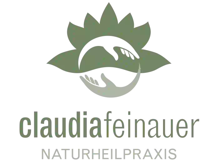Naturheilpraxis Feinauer Website
